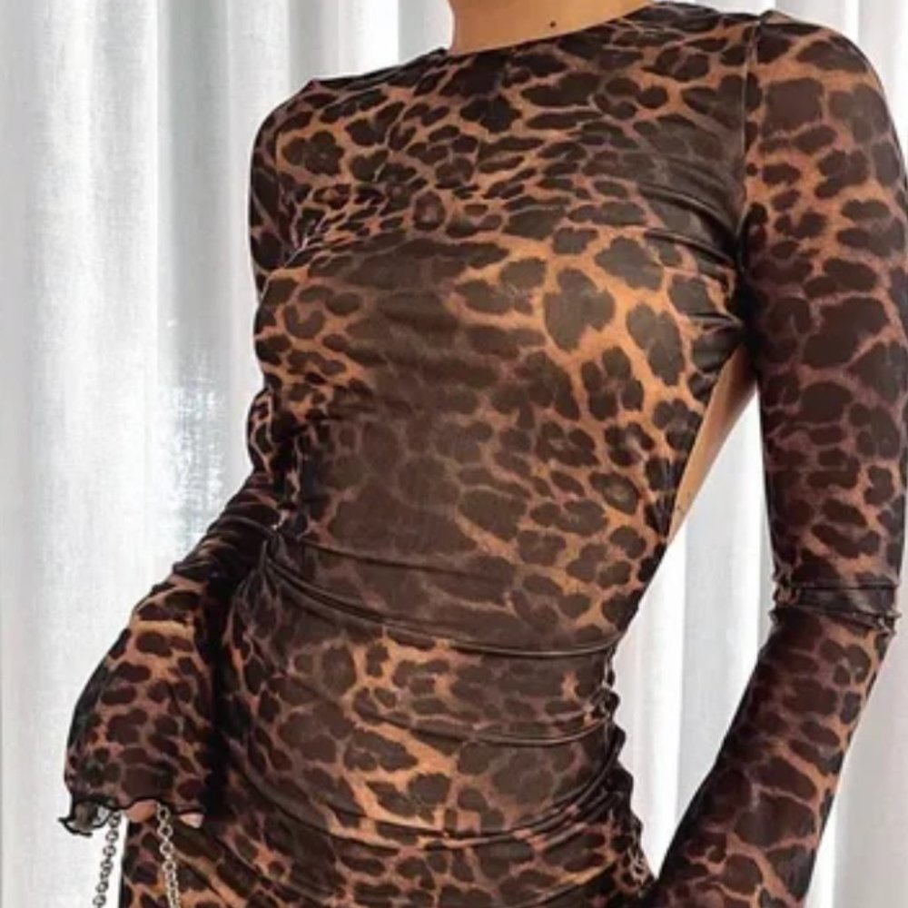 Leopard Print Dress